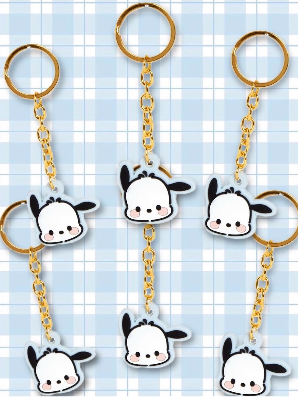 Pochacco Friend of the Month keychain